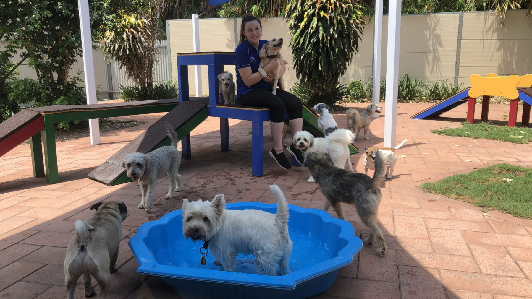 Helgas Pet Resort