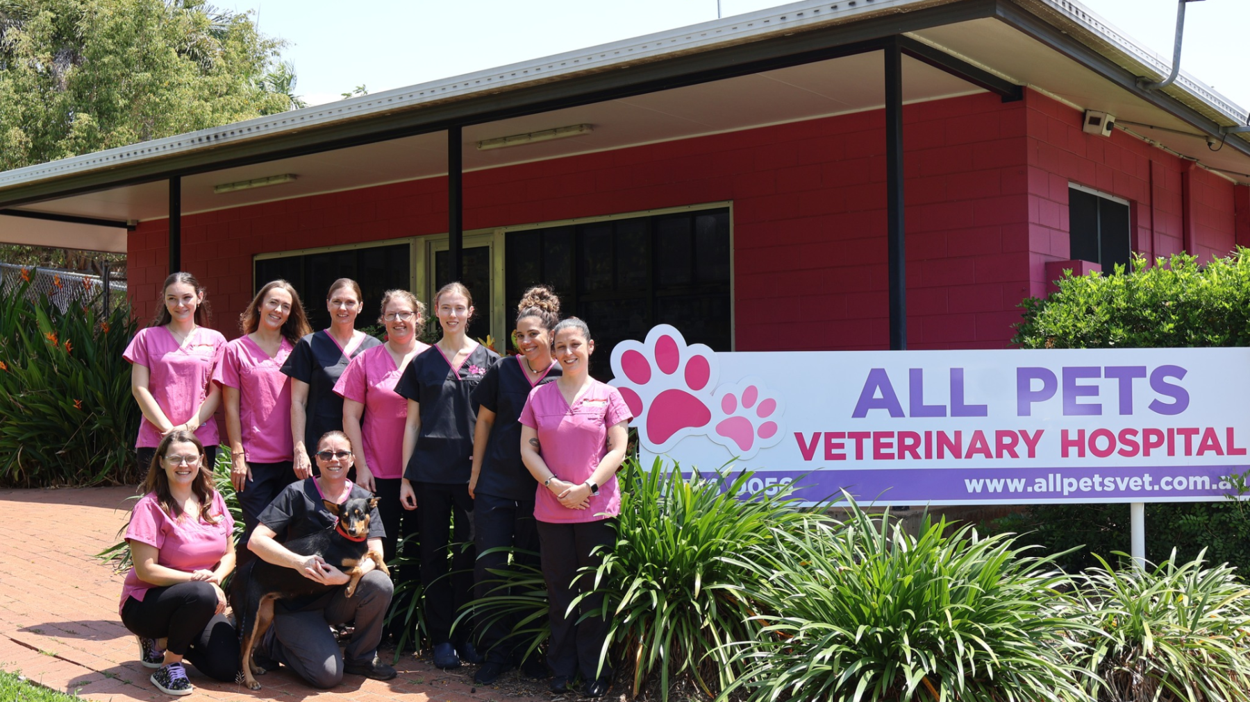 All Pets Veterinary Hospital