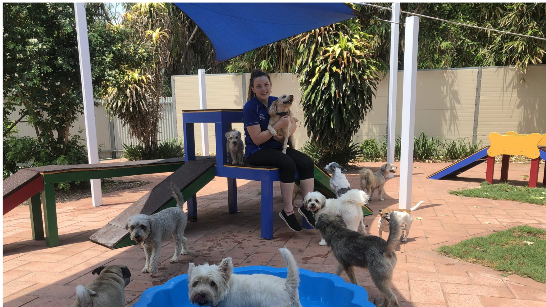 Helga’s Pet Resort